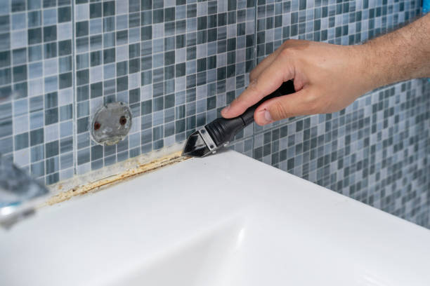 Best Emergency Mold Removal  in Tazewell, TN